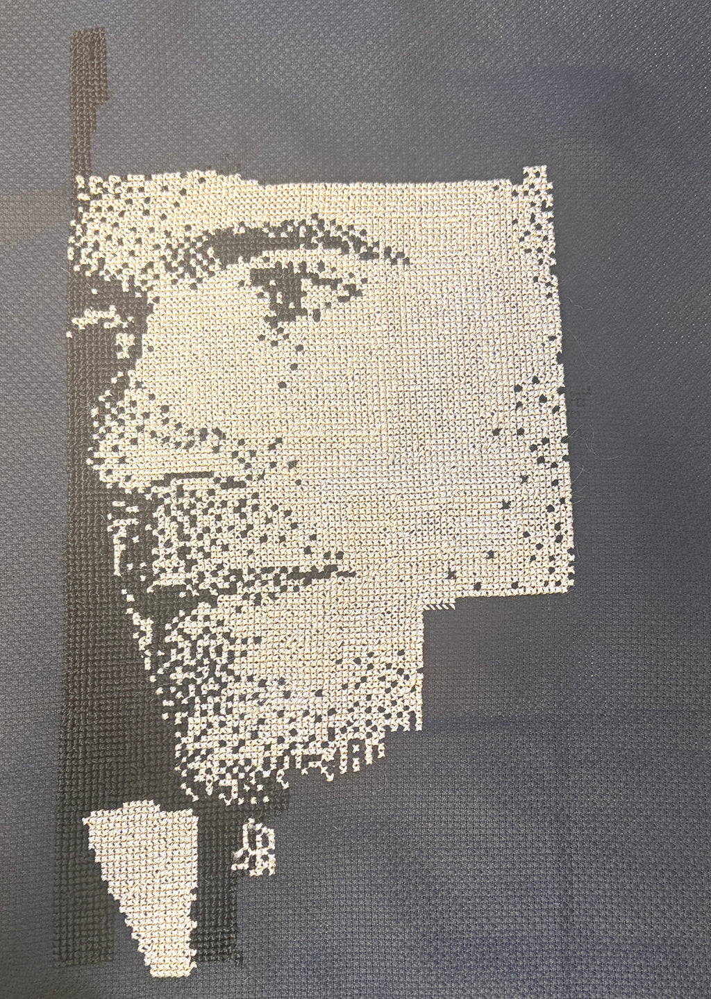 Custom Cross-Stitch Portrait – Handmade from Your Photo (29,400 Stitches)