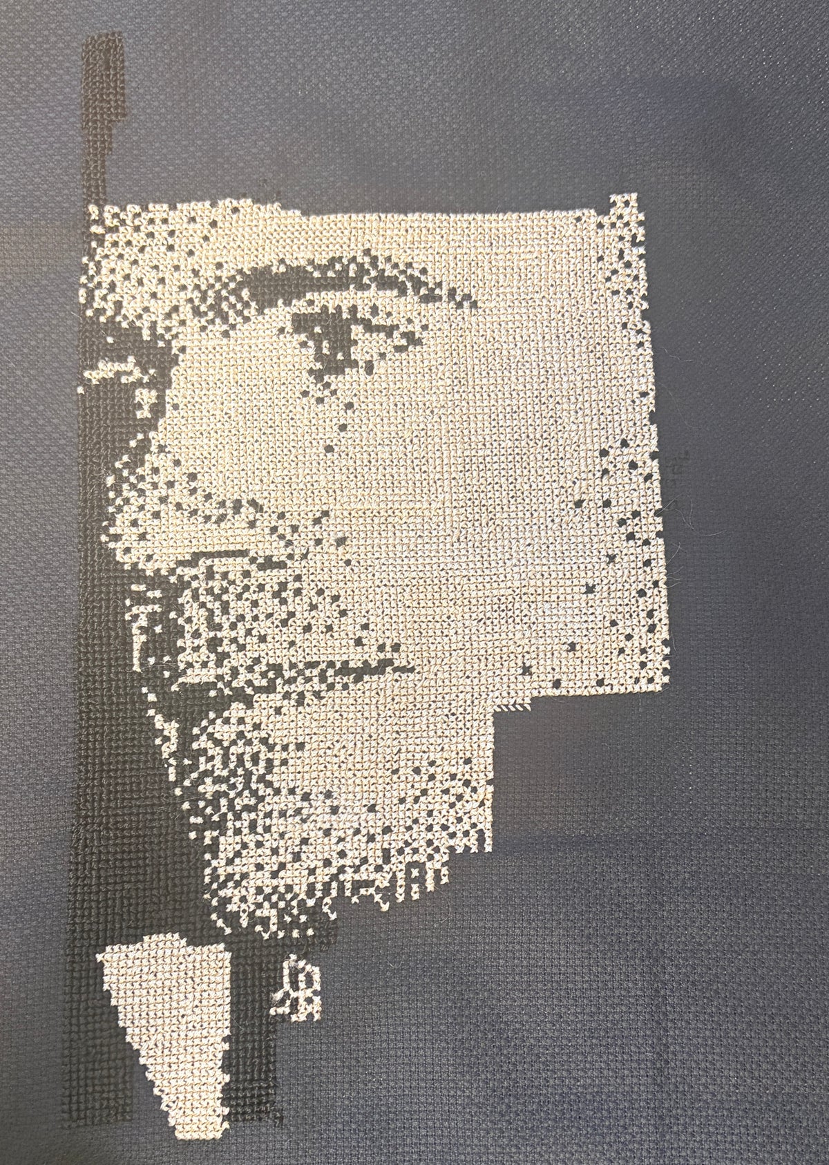 Custom Cross-Stitch Portrait – Handmade from Your Photo (29,400 Stitches)