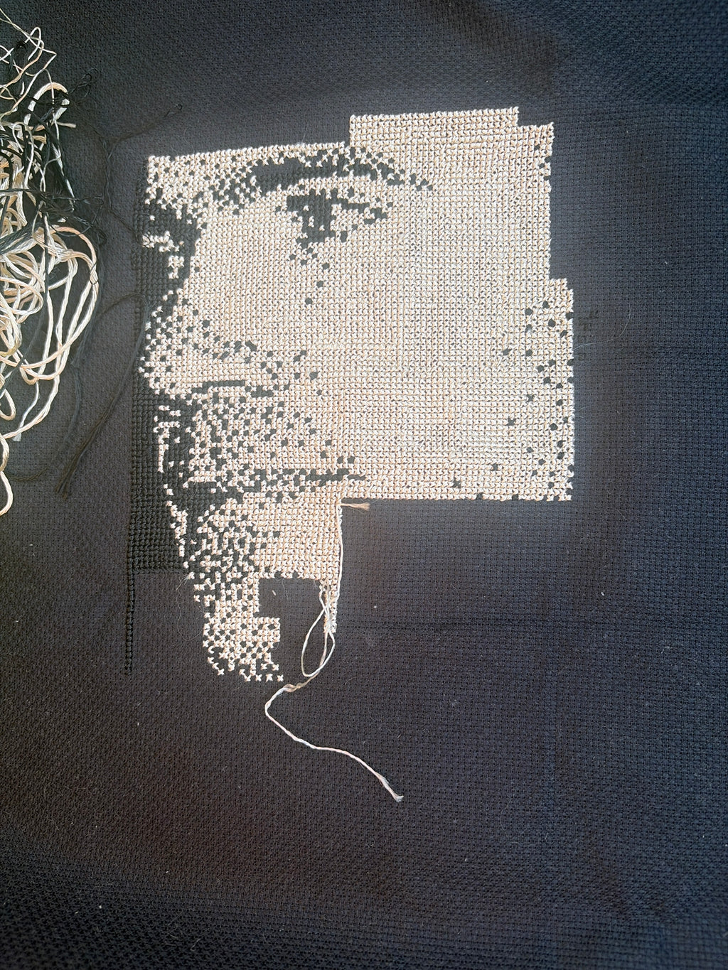 Custom Cross-Stitch Portrait – Handmade from Your Photo (29,400 Stitches)