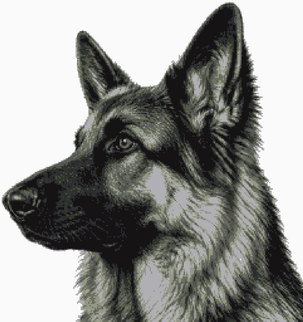Greyscale or Colour? German Shepherd