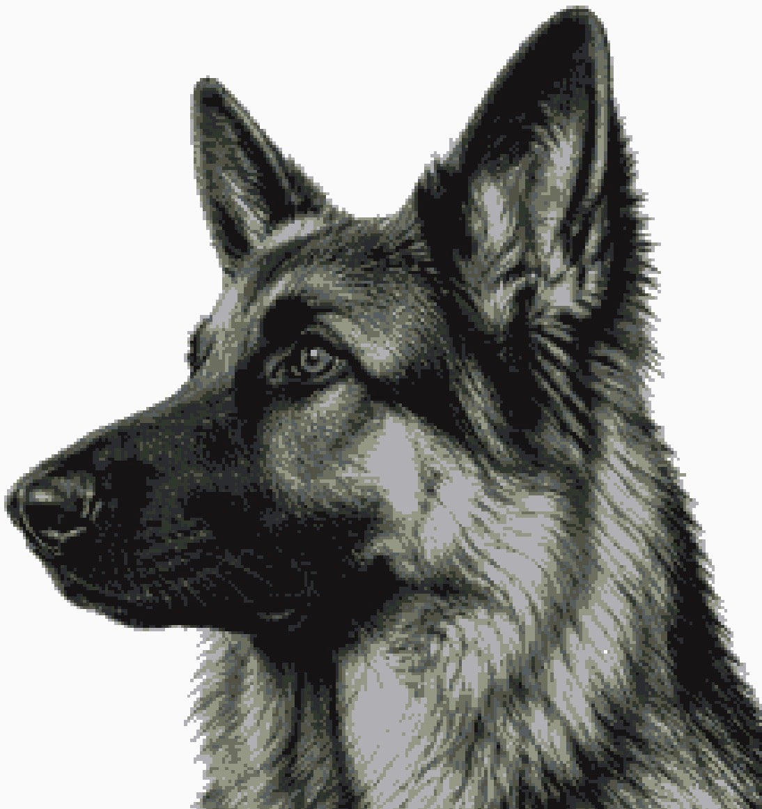 Greyscale or Colour? German Shepherd