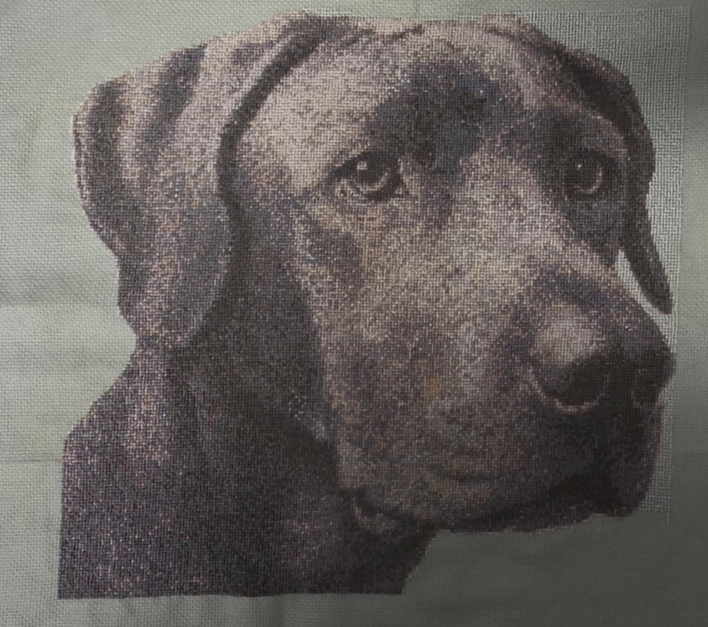 Custom Cross-Stitch Portrait – Large (30x35cm)