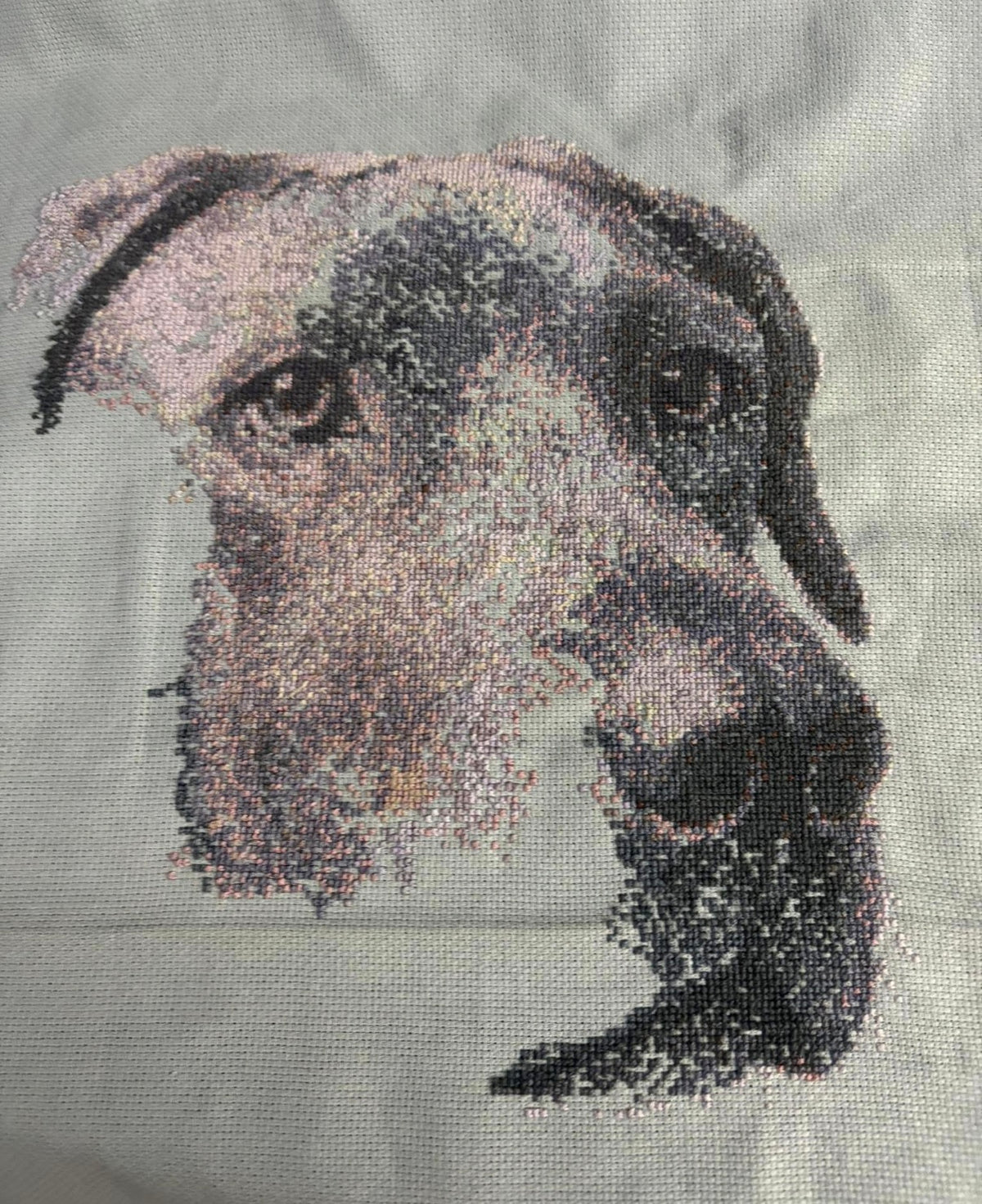 Custom Pet Portrait – Handmade Cross-Stitch Artwork (1,000+ Hours)