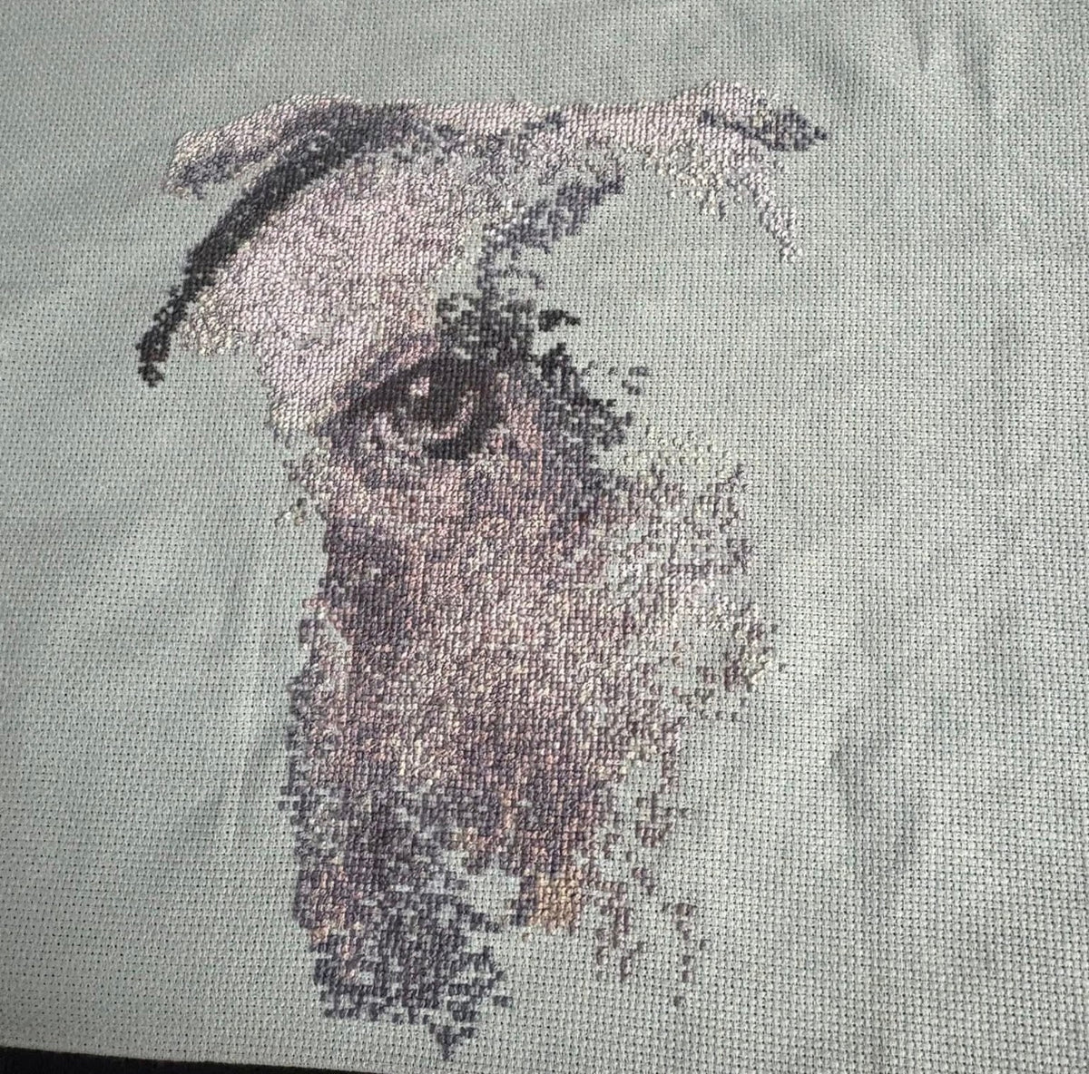 Custom Pet Portrait – Handmade Cross-Stitch Artwork (1,000+ Hours)