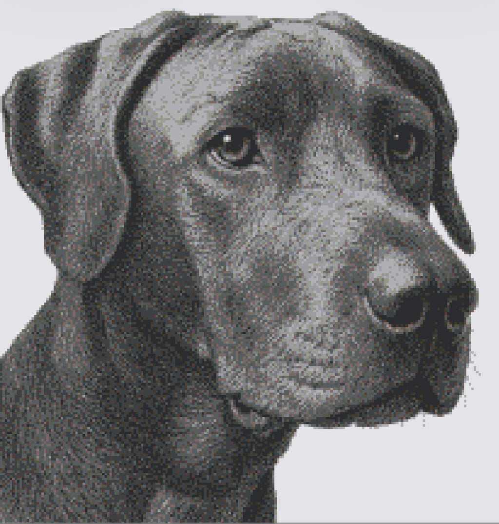 Custom Pet Portrait – Handmade Cross-Stitch Artwork (1,000+ Hours)