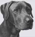 Custom Pet Portrait – Handmade Cross-Stitch Artwork (1,000+ Hours)
