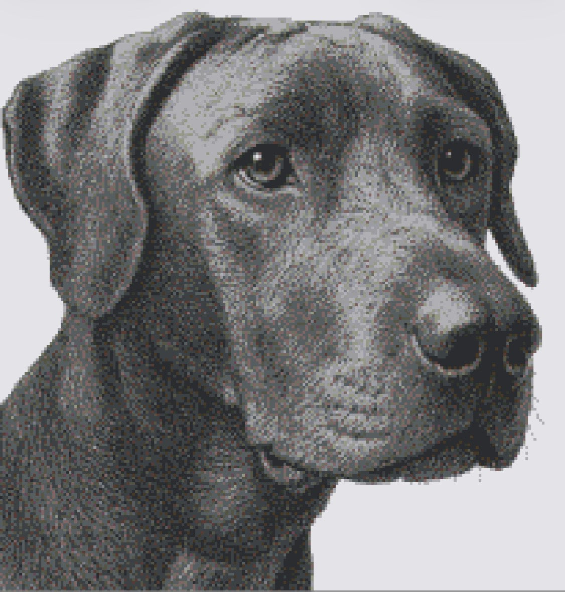 Custom Pet Portrait – Handmade Cross-Stitch Artwork (1,000+ Hours)