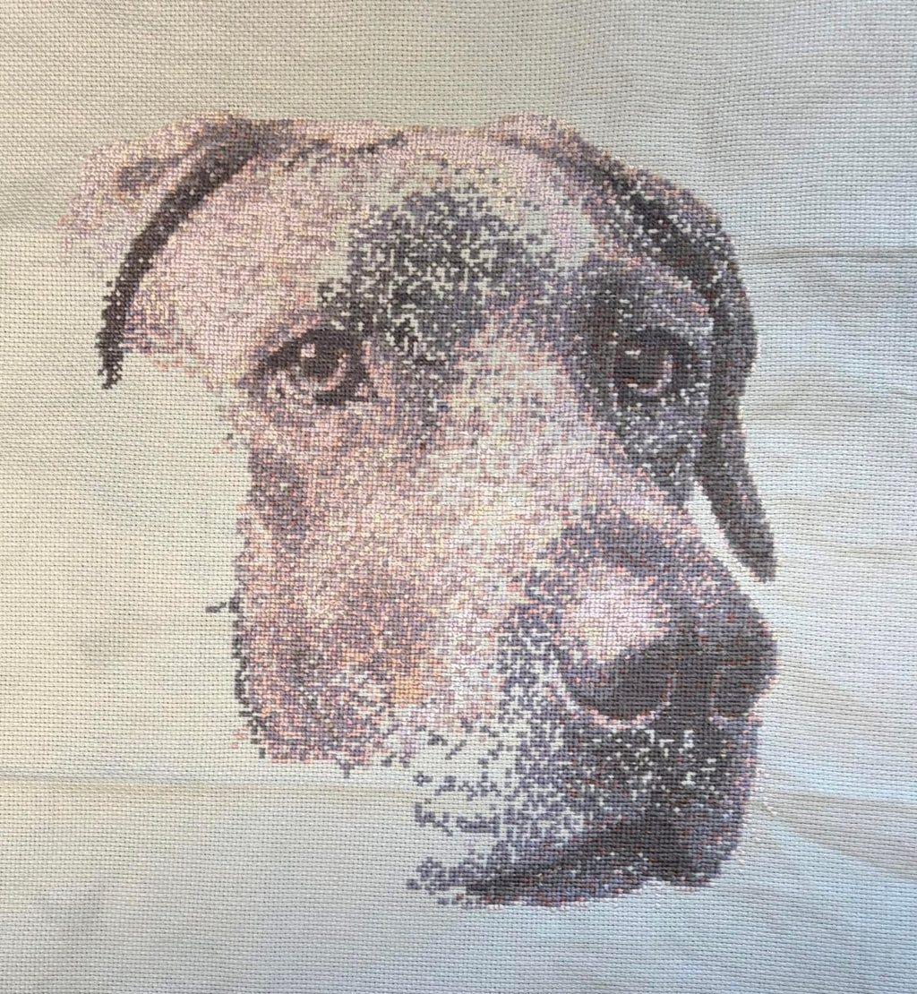Custom Pet Portrait – Handmade Cross-Stitch Artwork (1,000+ Hours)