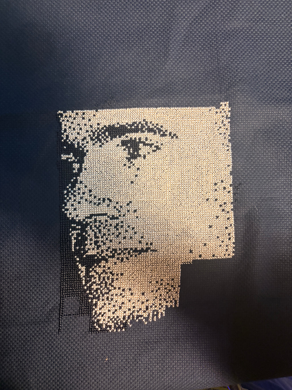 Custom Cross-Stitch Portrait – Handmade from Your Photo (29,400 Stitches)